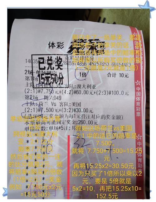 世界杯竞彩怎么押：从小白到老手